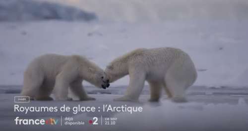 « Royaumes de glace – L’Arctique » :  votre documentaire ce soir sur France 2 (7 février)