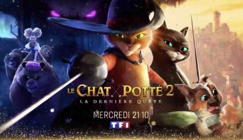  Chat Potté : Dernière mission (titre fictif)

Le Chat potté revient pour une toute dernière aventure dans ce film d’animation inédit diffusé sur TF1 le 25 décembre 2024. Les fans de tout âge apprécieront de retrouver le célèbre chat, aussi r