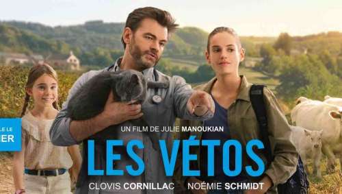  « Les Vétos : une immersion dans le monde des vétérinaires »