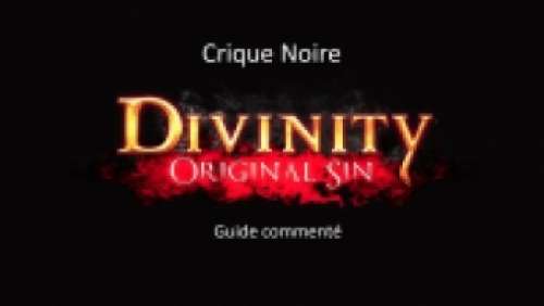 Divinity Original Sin 2 Un Premier Apercu De La Source Solutions De Jeux