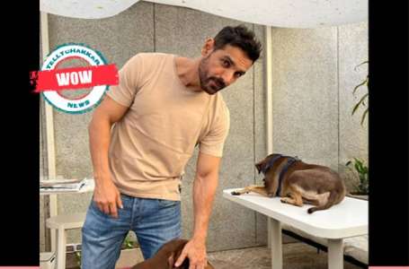 Ouah!  Découvrez le style de vie luxueux de John Abraham