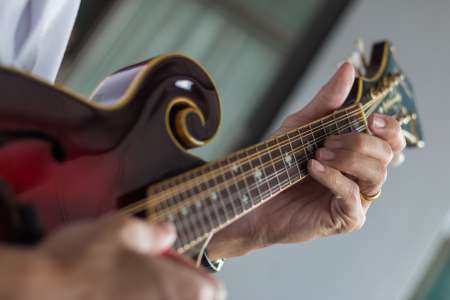 Choisir la bonne mandoline : guide d’achat