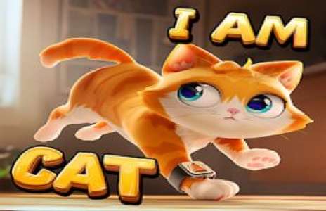 Solution pour I Am Cat, jeu de chat
