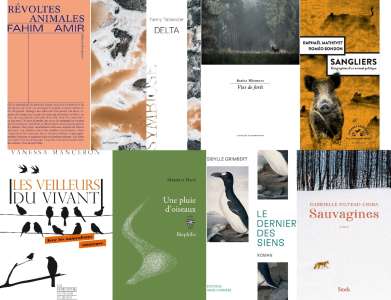 9 auteurs (et leurs livres) finalistes du Prix François Sommer 2023