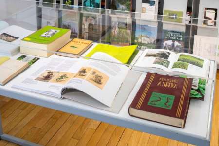 Bibliothèque Gulbenkian : plus de 63 000 écrits en portugais à Paris