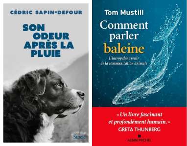 Cédric Sapin-Defour, Prix 30 millions d'amis 2023