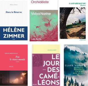 Les six romans finalistes du Prix du roman d'Écologie 2024