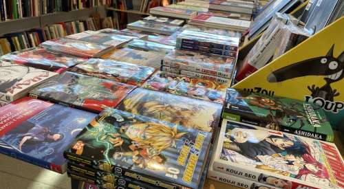 Le manga représente 5,1 % des ventes de livres en librairies, sur 2021