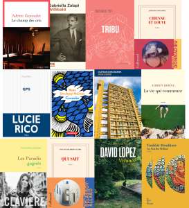 12 deuxièmes romans sélectionnés par le Prix Alain Spiess 2022