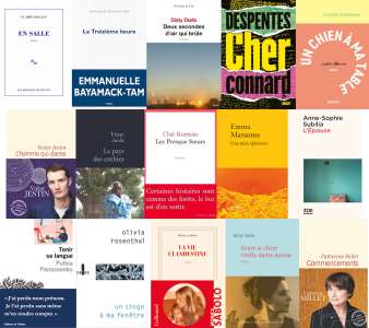 Prix Médicis : 15 romans français, 11 étrangers, dont une BD