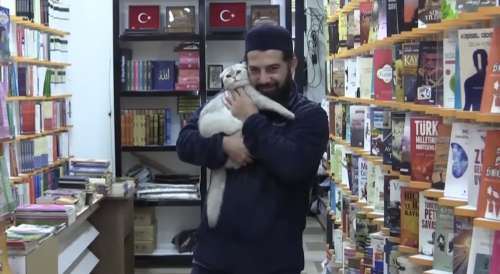 Retrouvailles touchantes d'un libraire et son chat, séparés après un séisme