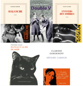 Sélection du prix Gustave Flaubert : 5 romans retenus