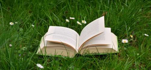 Littérature et écologie : des livres pour réveiller sa fibre écolo ! 