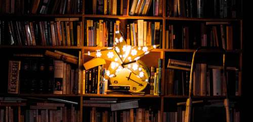 Pour la rentrée littéraire, les Bibliothèques idéales font leur come-back 