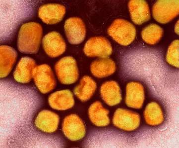Des données scientifiques gratuites sur la variole du singe