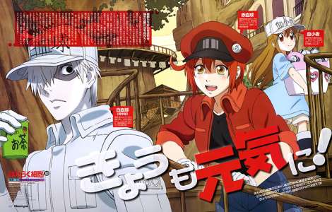 Un nouvel épisode de l’anime Hataraku Saibou, daté au Japon