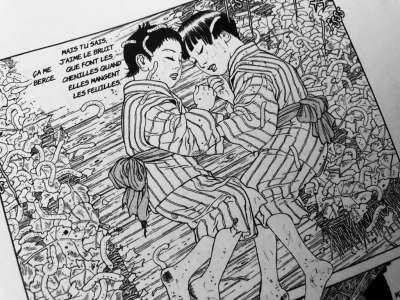 Casterman annonce le manga Tomino la maudite de Suehiro Maruo