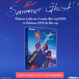 Le superbe film Summer Ghost dispo en précommande chez All The Anime