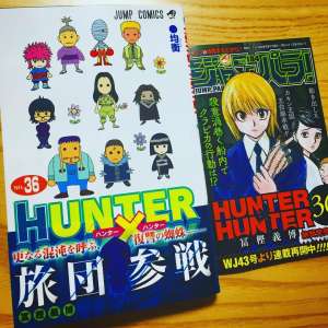 Hunter x Hunter: Le manga repart en pause la semaine prochaine