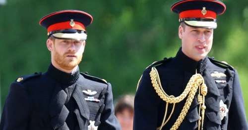 Le nouveau titre du prince William ne va pas plaire au prince Harry