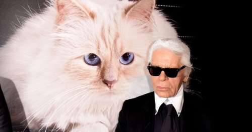 La chatte Choupette peut-elle hériter de la fortune de Karl Lagerfeld ?