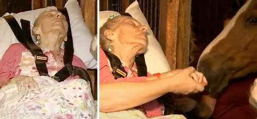 L’hospice exauce le dernier vœu d’une femme de 79 ans : revoir une dernière fois son cheval bien-aimé