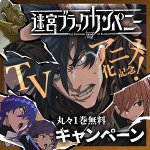 Une adaptation anime pour The Dungeon of Black Company