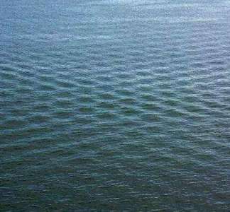 Un homme photographie d’étranges vagues carrées : quelques secondes plus tard, il craint pour sa vie
