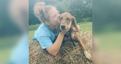 Fillette de 12 ans meurt en essayant de sauver son chien adoré des embouteillages : Samedi, ils seront enterrés ensemble