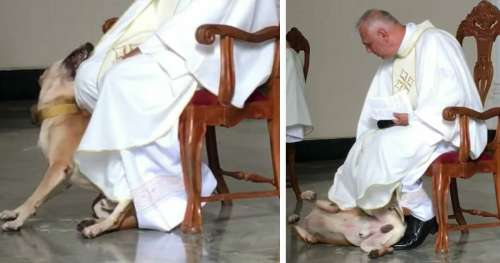 Un chien enjoué interrompt la messe – la réponse du prêtre fait rire tout le monde