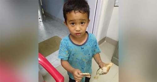 Un enfant de 6 ans honoré après avoir transporté un poulet à l’hôpital après l’avoir écrasé par accident