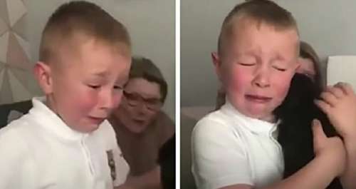 Un garçon de 7 ans pleure de joie quand il prend un chiot – lui dit: ‘Je suis ton meilleur ami maintenant’