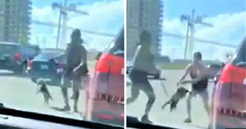 Une femme se sert d’un chien en laisse comme arme sur une vidéo montrant la rage au volant
