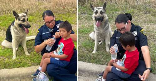 Un garçon de 5 ans atteint du syndrome de Down a été retrouvé avec son chien fidèle qui le protège