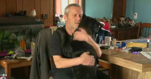 Un homme fait une crise cardiaque dans son sommeil – alors qu’il est à deux doigts de mourir, son chien lui sauve la vie