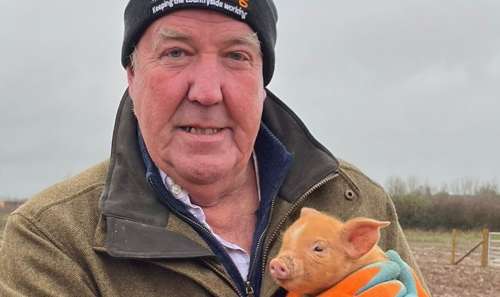 Jeremy Clarkson blâme les «végétariens enragés» pour les luttes inattendues à Diddly Squat Farm |  Nouvelles des célébrités |  Showbiz et télévision