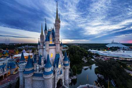 Ours en liberté à Disney World invite les fermetures