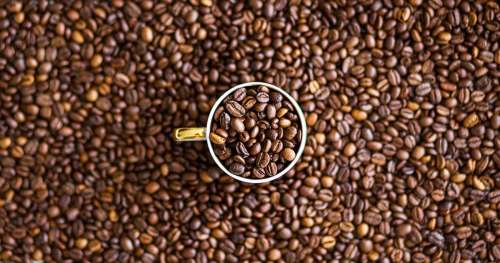 QUIZ : Que savez-vous du café, la deuxième boisson la plus consommée au monde ?
