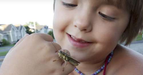Bravo à cette enfant harcelée pour sa passion des insectes qui a publié son 1er article scientifique