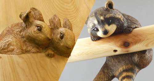 Ces superbes sculptures en bois rendent hommage aux animaux de la forêt