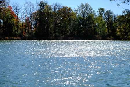 Nos lacs et nos rivières s’acidifient et c’est catastrophique pour l’environnement