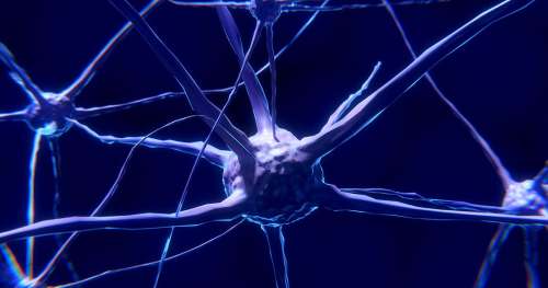 Grand espoir pour les victimes : des cellules reprogrammées pour soigner le cerveau après un AVC