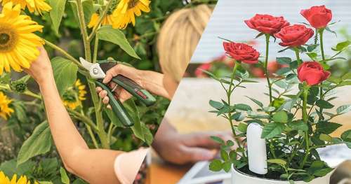 9 produits idéaux pour vous remettre au jardinage à l’arrivée des beaux jours