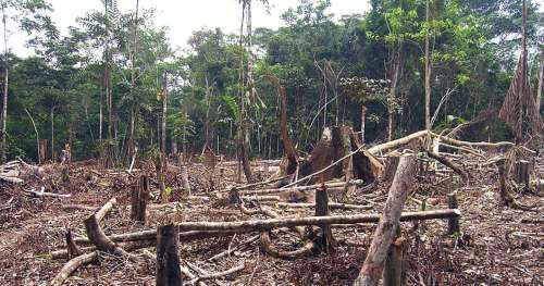 Ces 25 enfants courageux ont poursuivi le gouvernement colombien pour sauver la forêt amazonienne