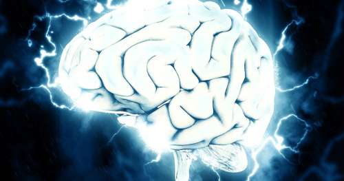 VRAI ou FAUX : Le cerveau humain