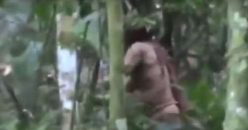 Des images incroyablement rares : le dernier membre d’une tribu amazonienne isolée a été filmé