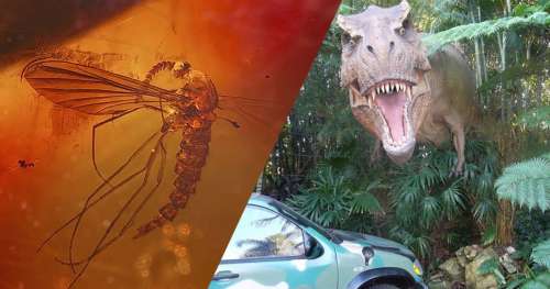 6 grosses erreurs scientifiques repérées dans la saga Jurassic Park