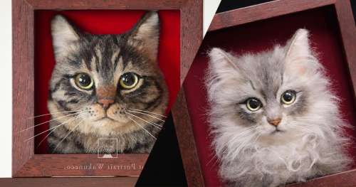 Cette artiste réalise des portraits plus vrais que nature d’adorables chats