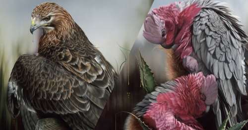 Munie de son pinceau, cette artiste donne vie à des oiseaux plus vrais que nature