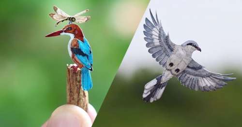 Ces 24 œuvres en papier représentant des oiseaux sont d’un réalisme impressionnant